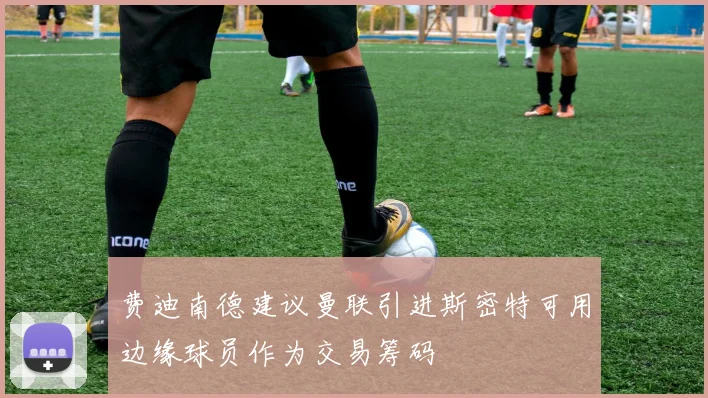 费迪南德建议曼联引进斯密特可用边缘球员作为交易筹码