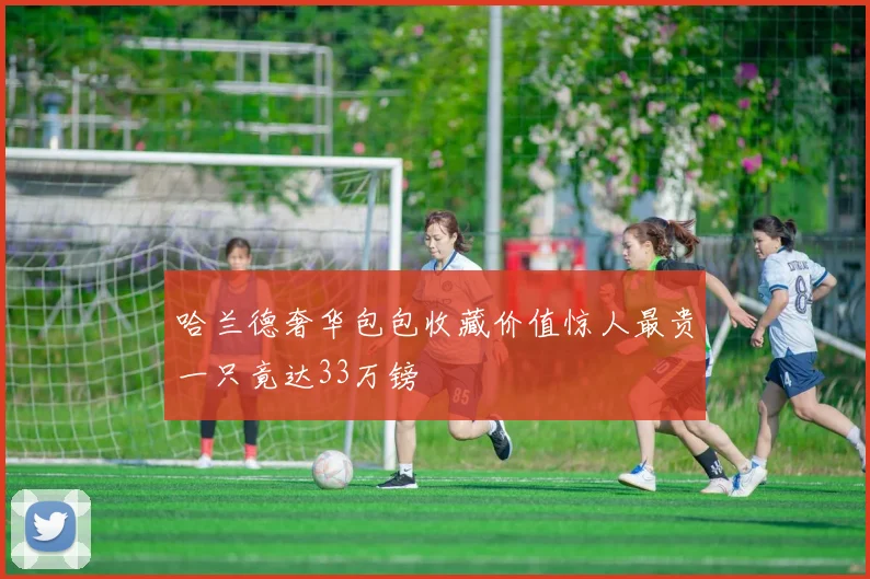 哈兰德奢华包包收藏价值惊人最贵一只竟达33万镑