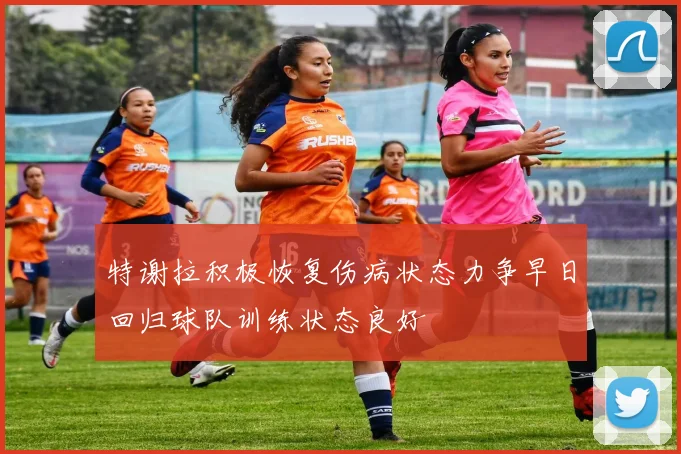 特谢拉积极恢复伤病状态力争早日回归球队训练状态良好